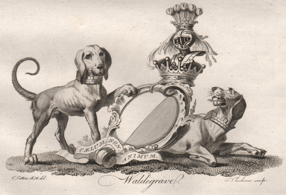 WALDEGRAVE. Coat of Arms. Heraldry 1790 old antique vintage print picture